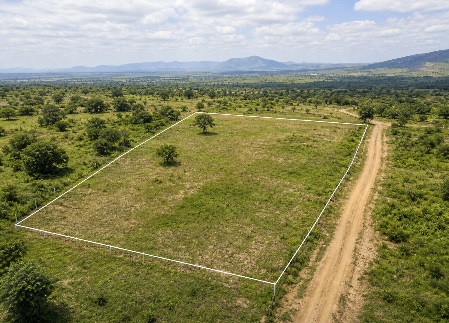 Serengeti Investment Plot